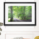 Frenzy Green by Anne Schneidersmann on GIANT ART - multicolor photography; landscapes