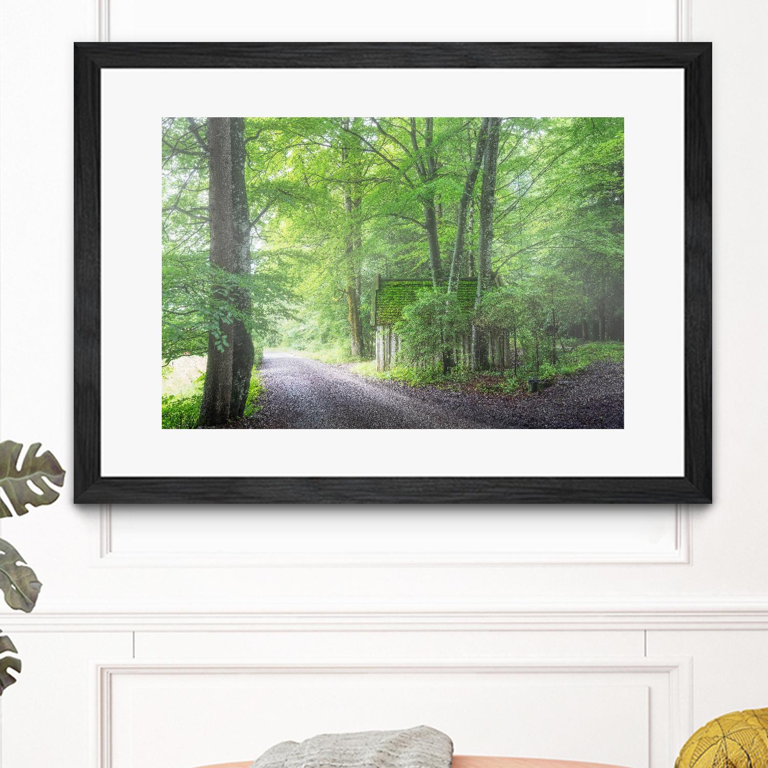 Frenzy Green by Anne Schneidersmann on GIANT ART - multicolor photography; landscapes