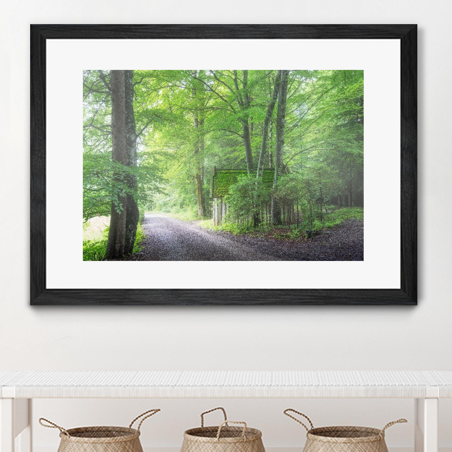 Frenzy Green by Anne Schneidersmann on GIANT ART - multicolor photography; landscapes