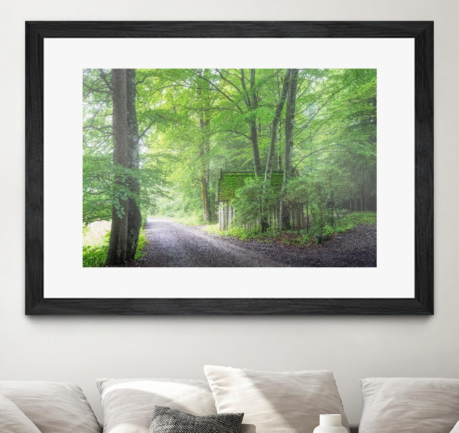 Frenzy Green by Anne Schneidersmann on GIANT ART - multicolor photography; landscapes