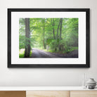 Frenzy Green by Anne Schneidersmann on GIANT ART - multicolor photography; landscapes