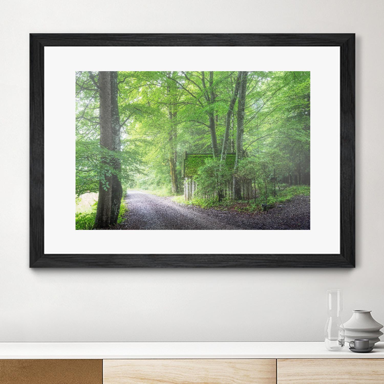Frenzy Green by Anne Schneidersmann on GIANT ART - multicolor photography; landscapes