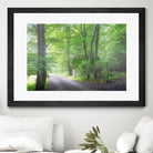 Frenzy Green by Anne Schneidersmann on GIANT ART - multicolor photography; landscapes