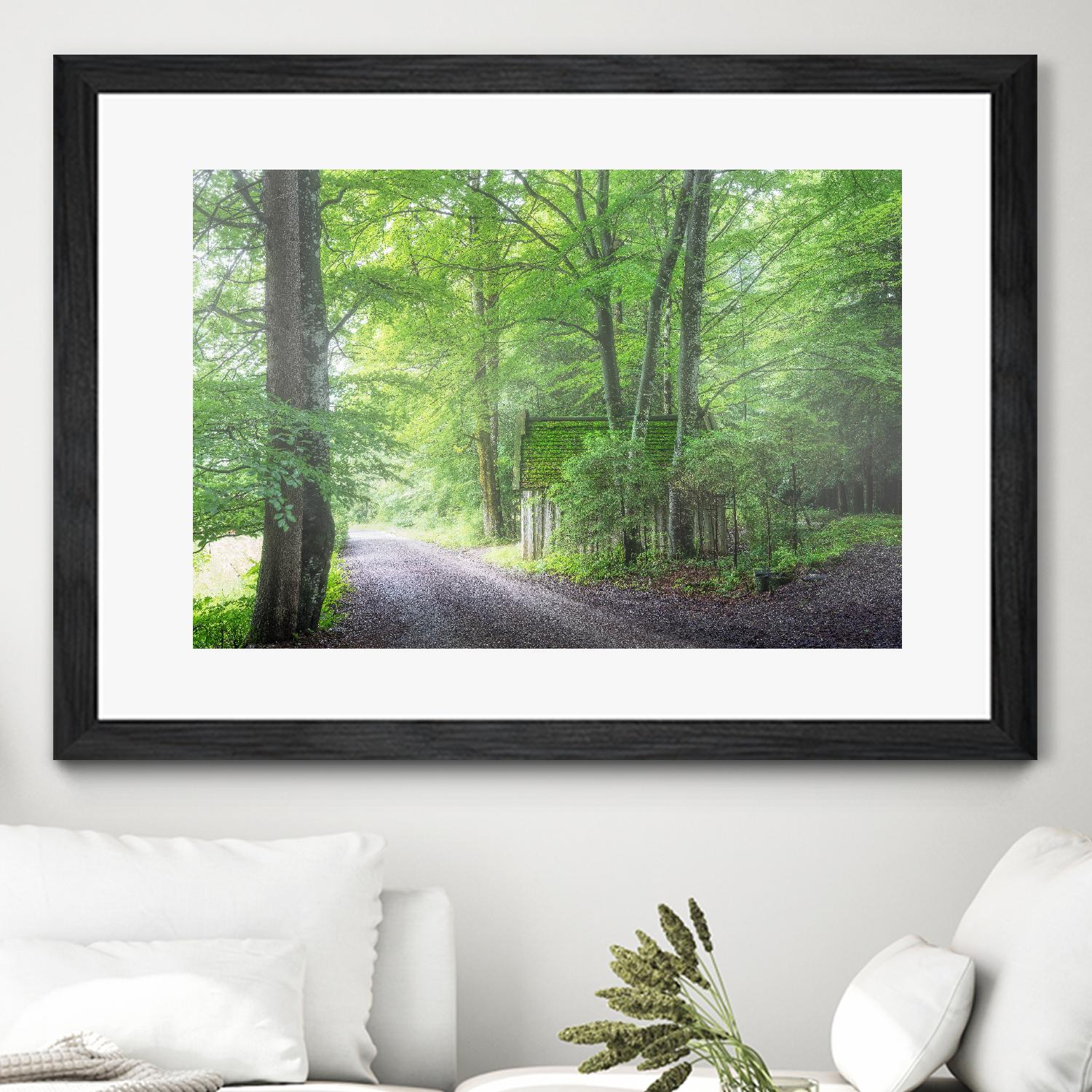 Frenzy Green by Anne Schneidersmann on GIANT ART - multicolor photography; landscapes