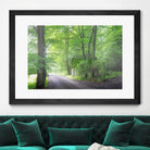 Frenzy Green by Anne Schneidersmann on GIANT ART - multicolor photography; landscapes