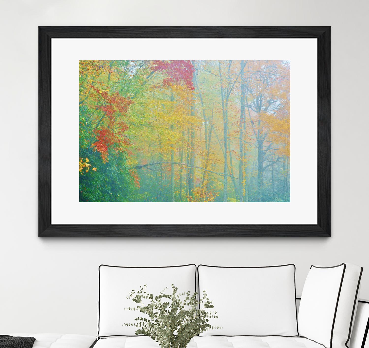 Autumn’s Palette by Steve Vaughn on GIANT ART - multicolor photography; landscapes