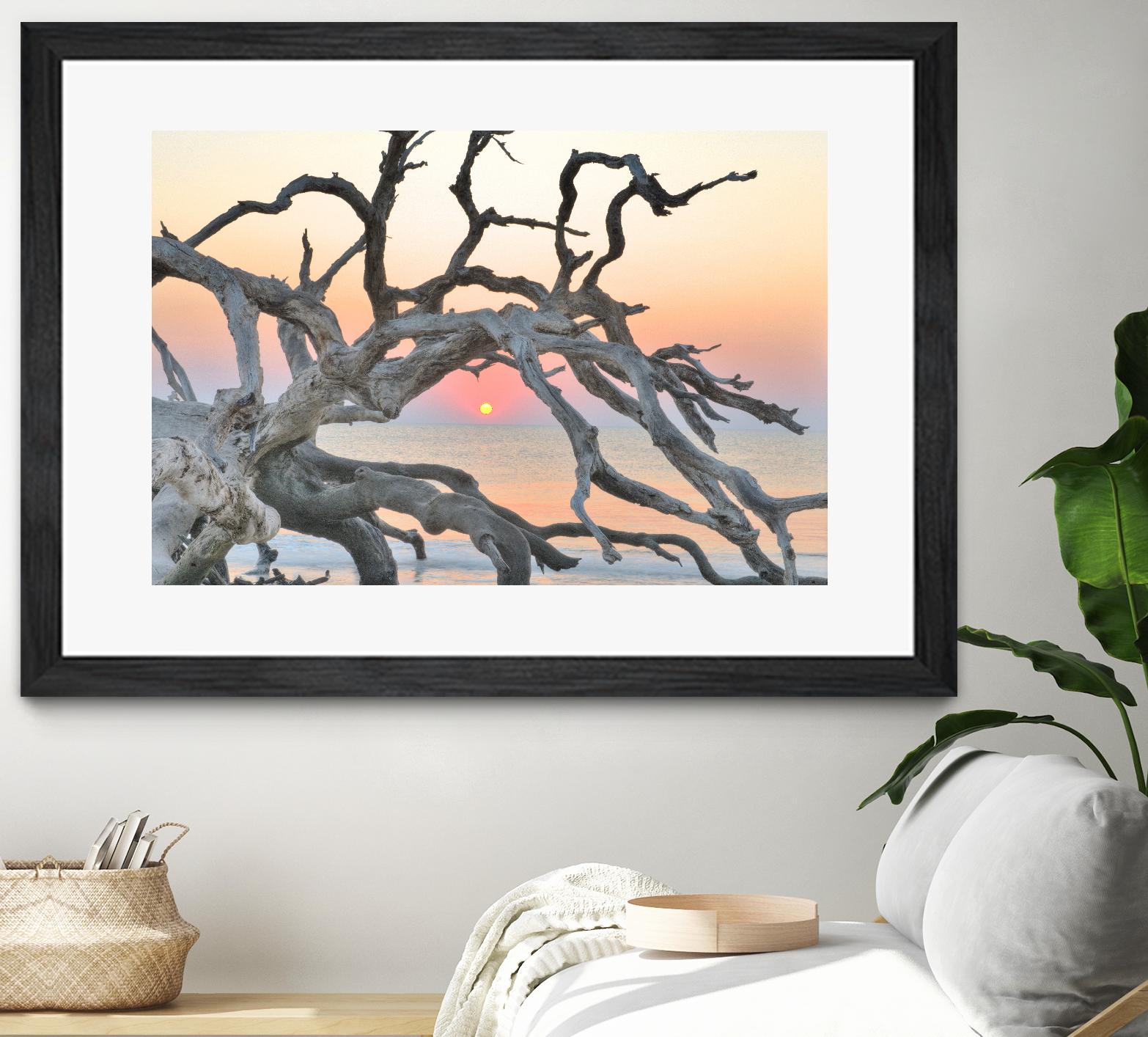 Sunrise Sentinel by Steve Vaughn on GIANT ART - multicolor photography; landscapes; coastal