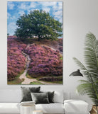 Purple Heath by Lars Van de Goor on GIANT ART - multicolor photography; landscapes