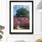 Purple Heath by Lars Van de Goor on GIANT ART - multicolor photography; landscapes