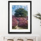 Purple Heath by Lars Van de Goor on GIANT ART - multicolor photography; landscapes