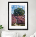 Purple Heath by Lars Van de Goor on GIANT ART - multicolor photography; landscapes