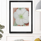 White Flower on Red Earth, No.1, 1943 by Georgia  O'keeffe on GIANT ART - botanical