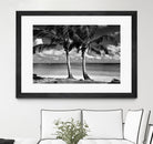 Summer Breezes I by Dennis Frates on GIANT ART - white tropical