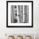 Birches in Grey I by Rick Cotter on GIANT ART - black trees