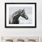 The Fell by Esther Marie on GIANT ART - white animals horse