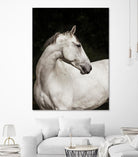 Elegant by Esther Marie on GIANT ART - white black & white horse