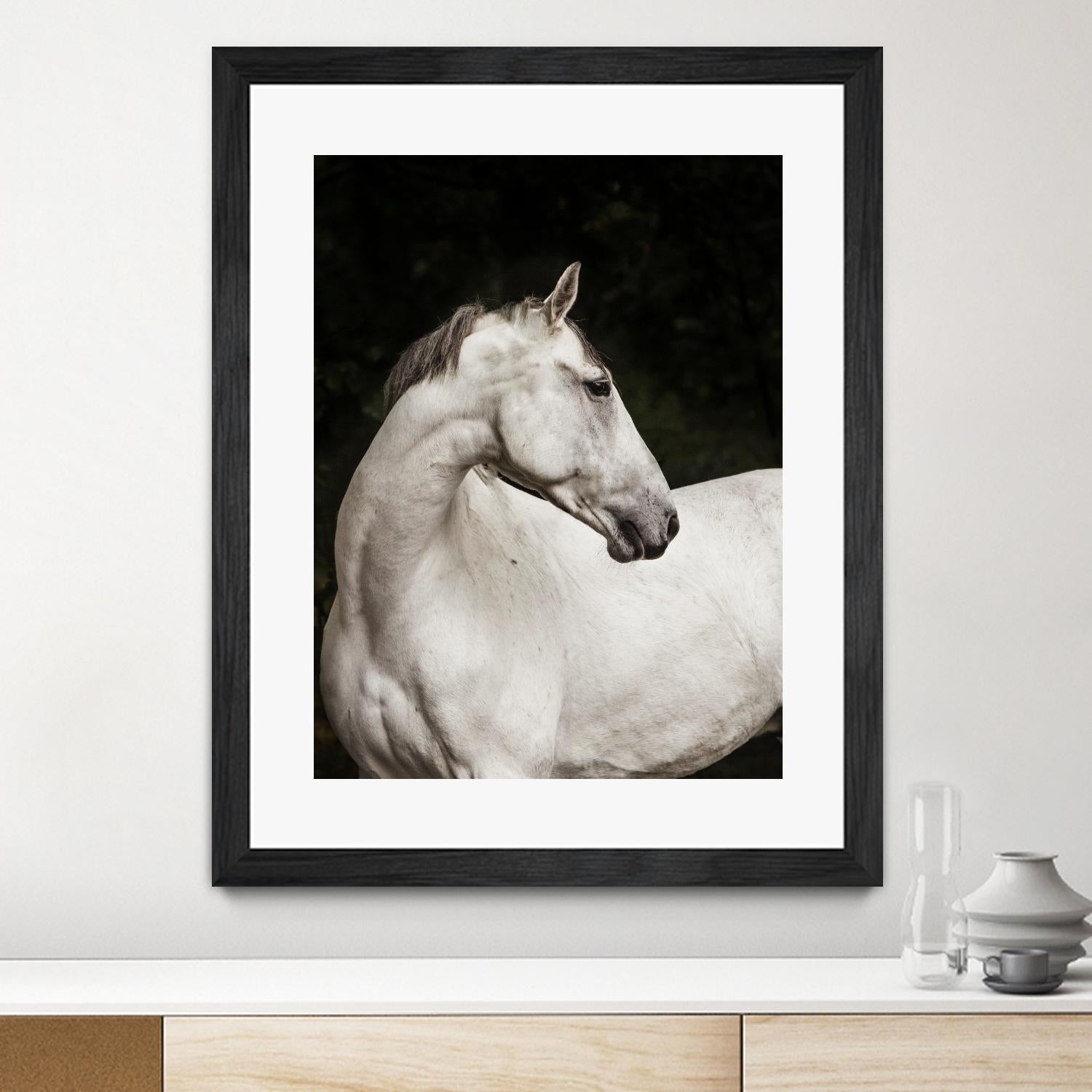 Elegant by Esther Marie on GIANT ART - white black & white horse