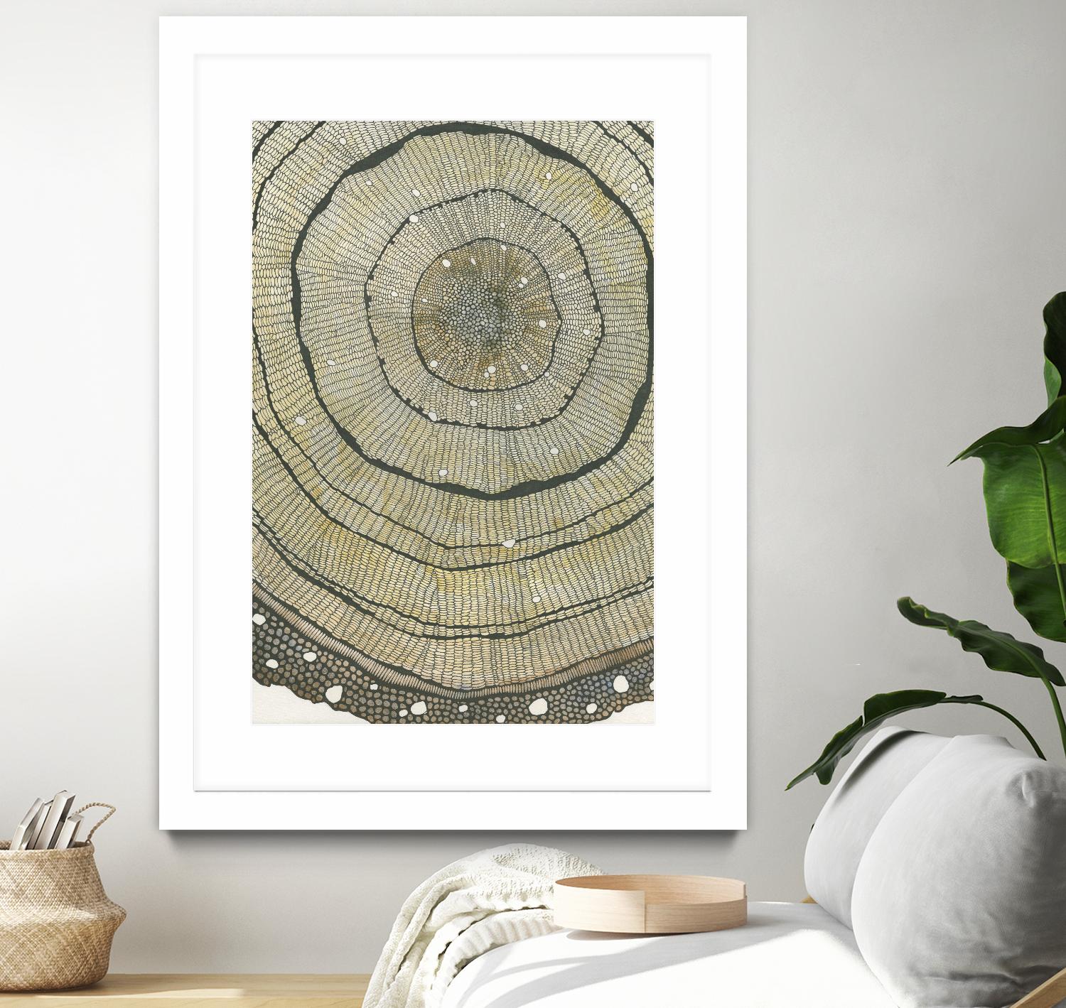 Fir by Sandrine Pellisier on GIANT ART - brown abstract