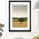 Lone Tree in an Autumn Field by Don Schwartz on GIANT ART - blue trees