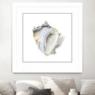 Seafoam Shell by Aimee Wilson on GIANT ART - abstract
