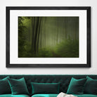 Maier - Forest Morning by 1X on GIANT ART - black trees