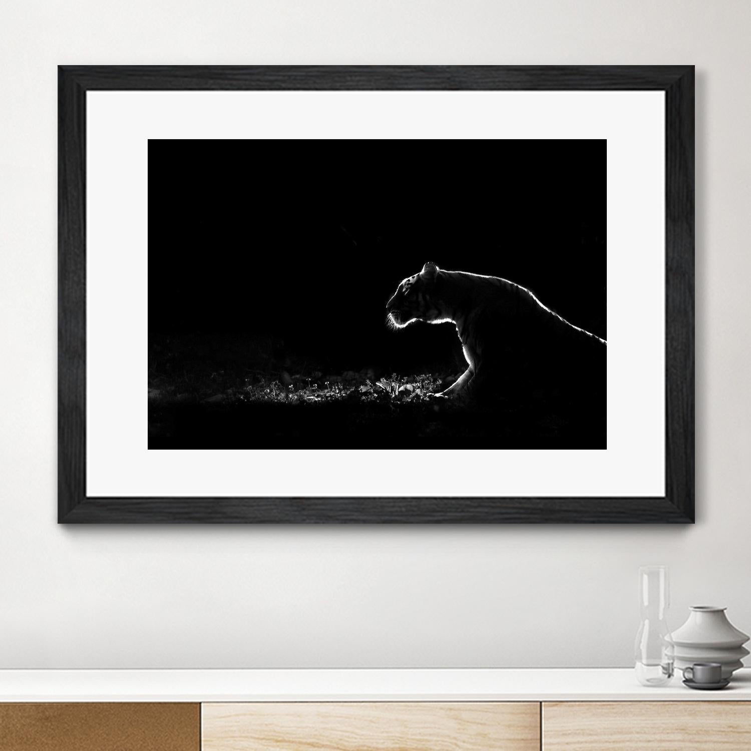 Amot - Untitled by 1X on GIANT ART - white animals