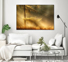Autumn Light by Mies 1X on GIANT ART - orange trees