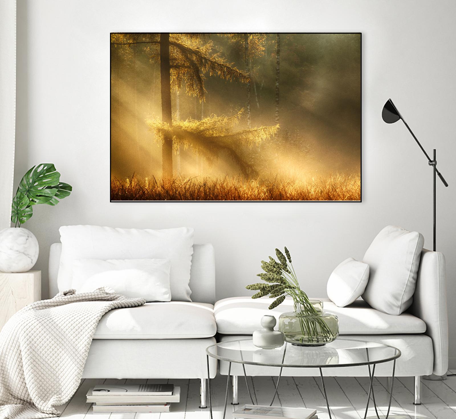 Autumn Light by Mies 1X on GIANT ART - orange trees