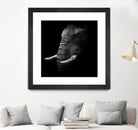Portrait by WildPhotoArt on GIANT ART - white animal hear of elephant