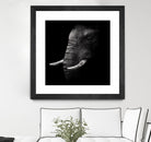 Portrait by WildPhotoArt on GIANT ART - white animal hear of elephant