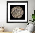 Mysterious Tree Rings by Roberto Gonzalez on GIANT ART - decorative 