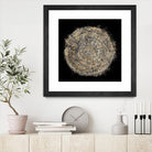Mysterious Tree Rings by Roberto Gonzalez on GIANT ART - decorative 
