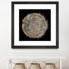 Mysterious Tree Rings by Roberto Gonzalez on GIANT ART - decorative 