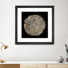 Mysterious Tree Rings by Roberto Gonzalez on GIANT ART - decorative 