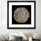 Mysterious Tree Rings by Roberto Gonzalez on GIANT ART - decorative 