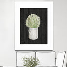Herbs on Black Wood II by Janice Gaynor on GIANT ART - farm 