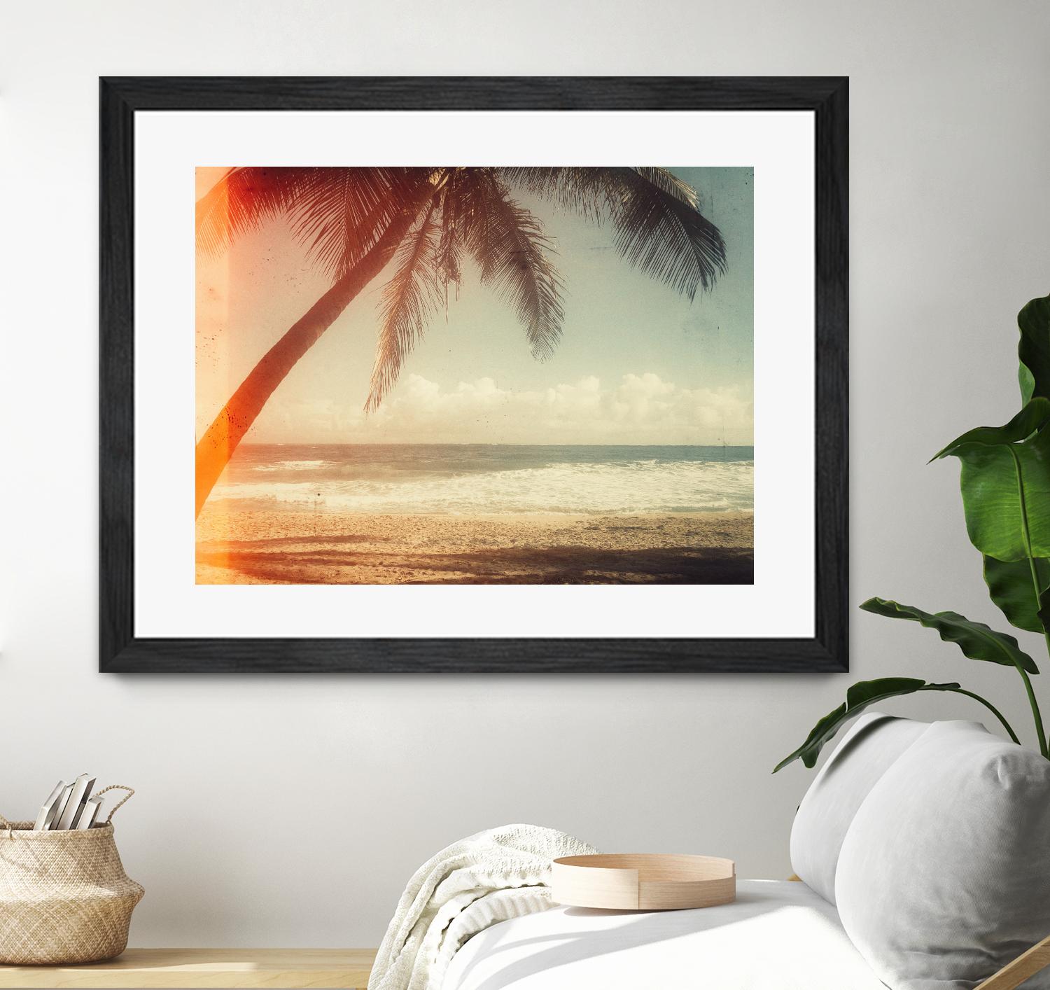 Single Palm by Acosta on GIANT ART - multi photography
