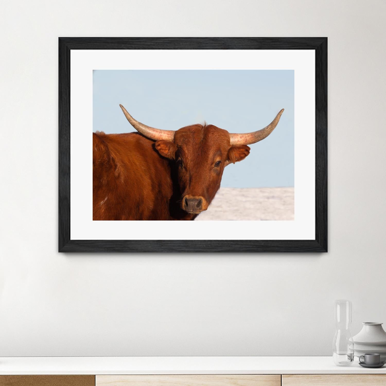 Steer by Carol Walker on GIANT ART - photography farm