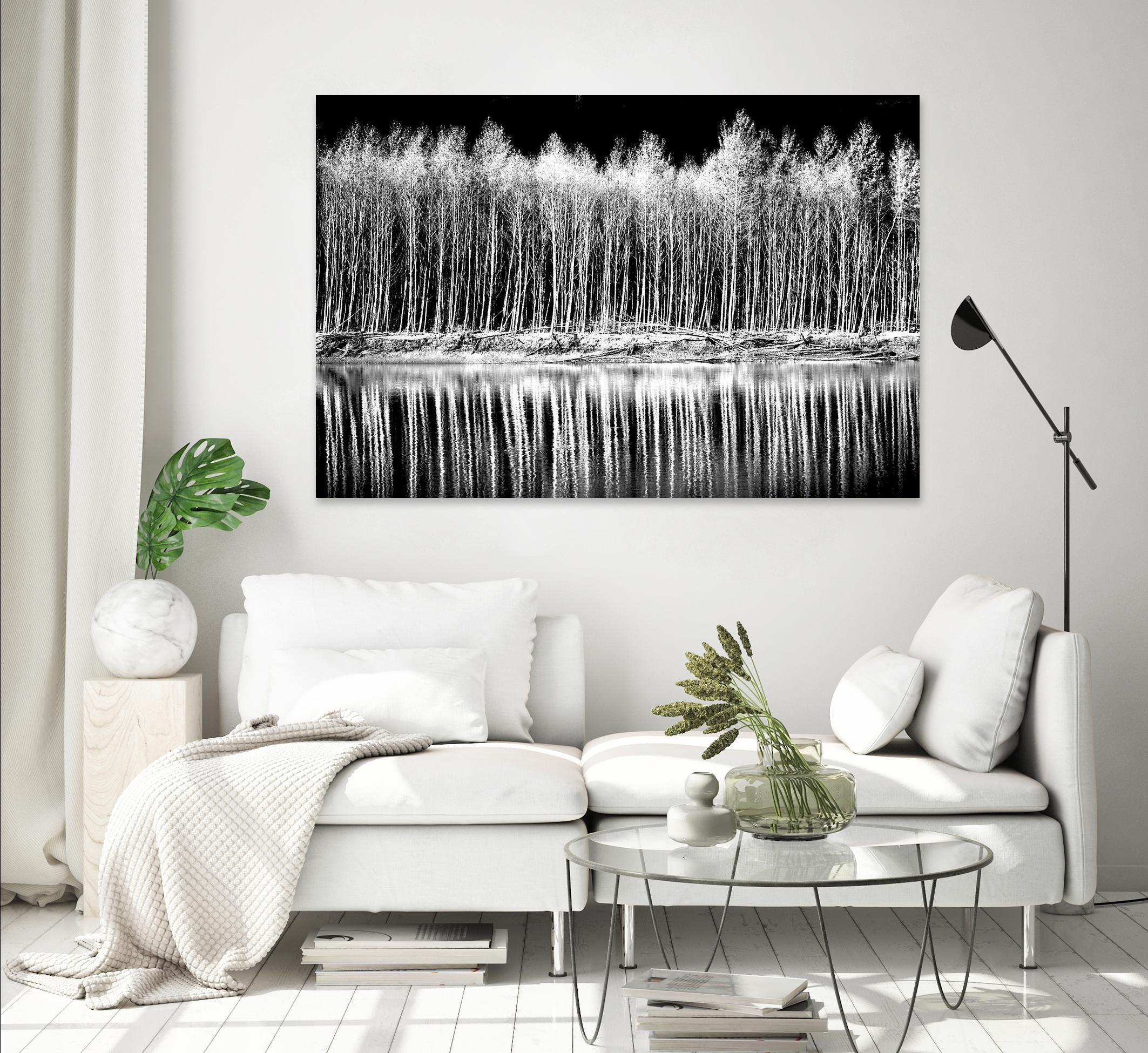 Photograph 1 by Aaron Matheson on GIANT ART - white landscape