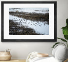 Flock by Nancy Crowell on GIANT ART - blue landscape