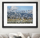 Takeoff by Nancy Crowell on GIANT ART - beige landscape