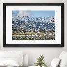 Takeoff by Nancy Crowell on GIANT ART - beige landscape