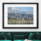 Takeoff by Nancy Crowell on GIANT ART - beige landscape