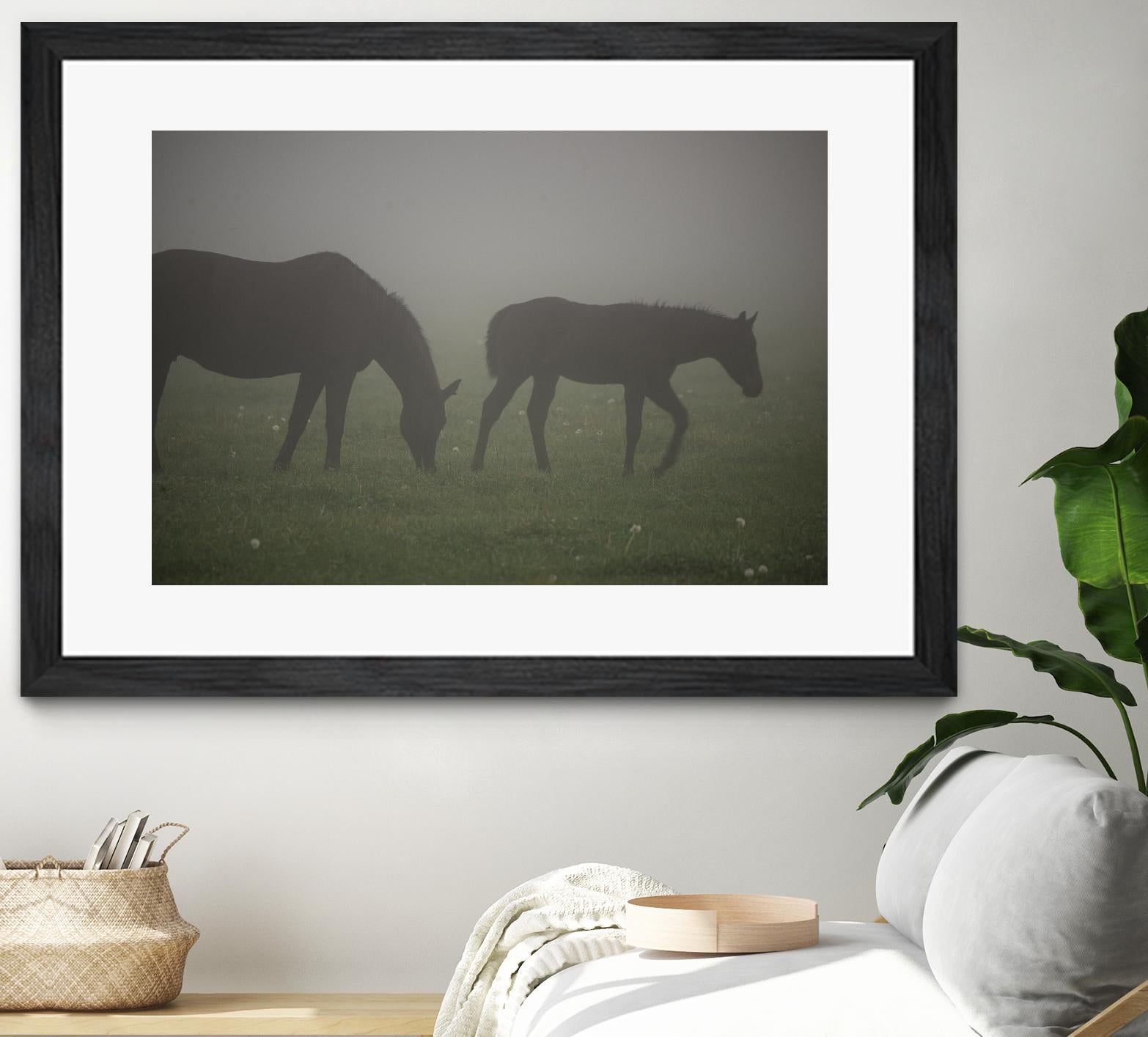 Photograph 3 by Nancy Crowell on GIANT ART - grey animals