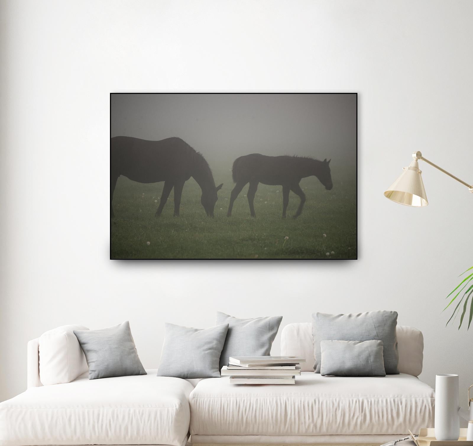 Photograph 3 by Nancy Crowell on GIANT ART - grey animals