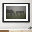 Photograph 3 by Nancy Crowell on GIANT ART - grey animals