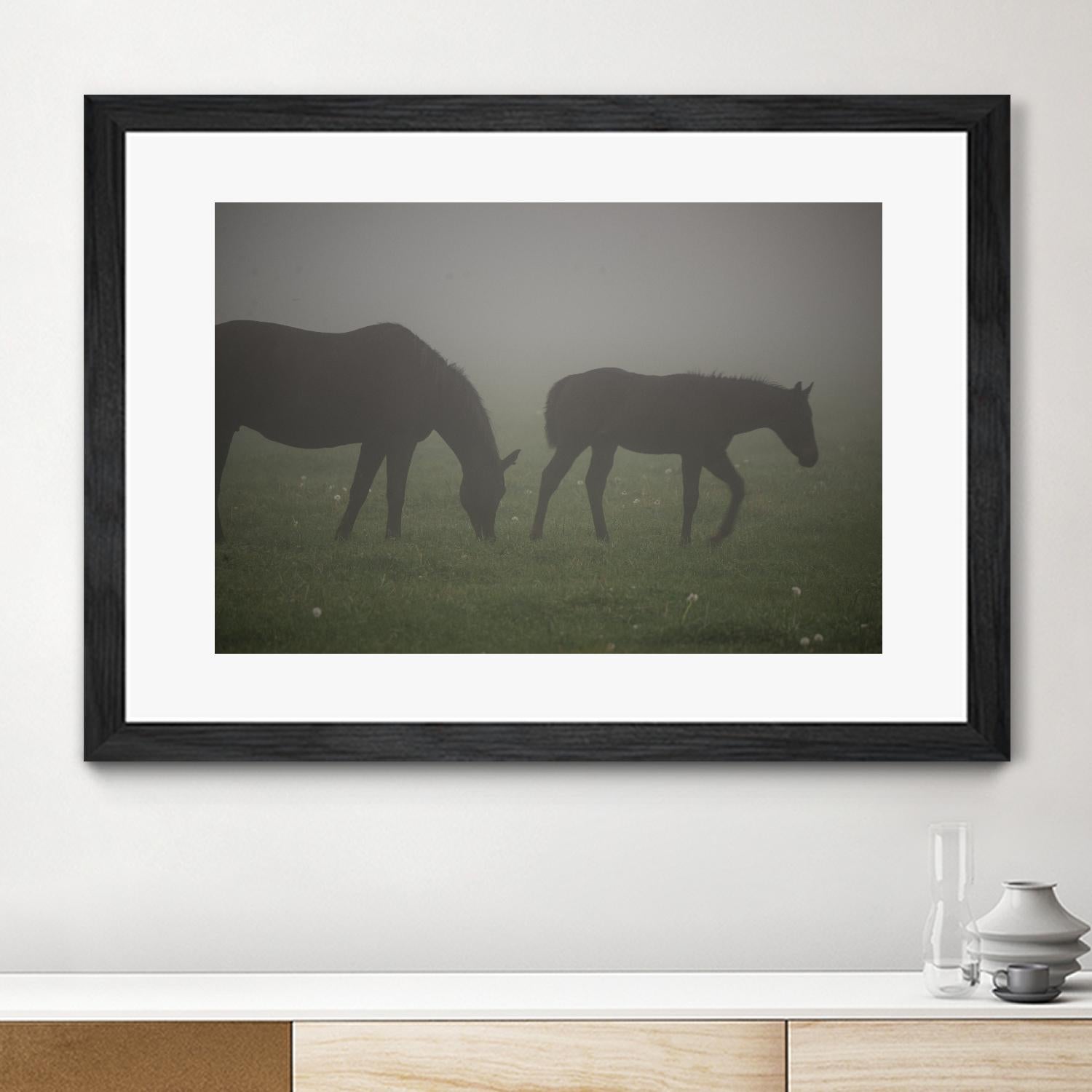 Photograph 3 by Nancy Crowell on GIANT ART - grey animals
