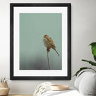Perch by Nancy Crowell on GIANT ART - greens birds