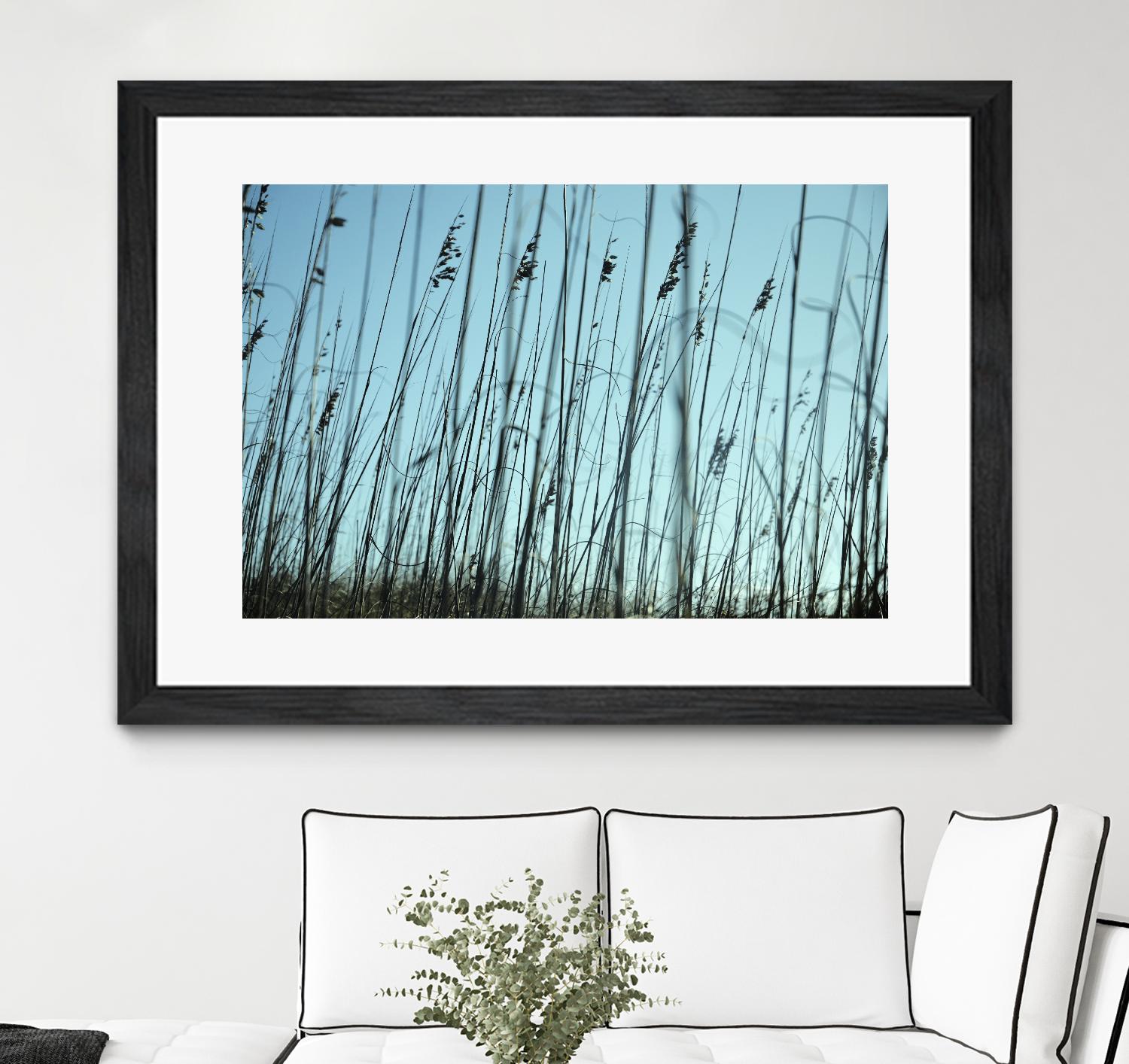 Whispers by Lori Prenner on GIANT ART - beige photo art