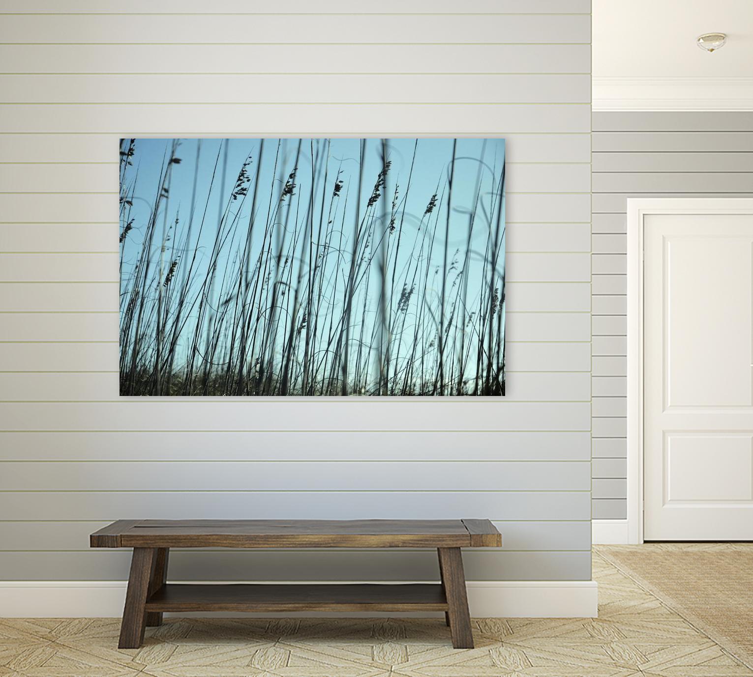 Whispers by Lori Prenner on GIANT ART - beige photo art